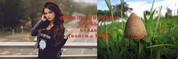 гидра Козельск