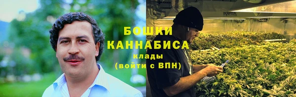 гидра Козельск